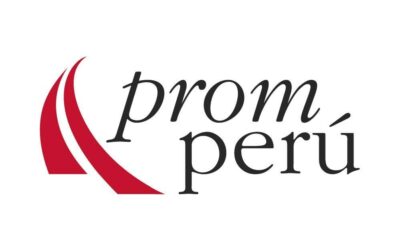 Jennyfer Salvo: “La colaboración entre Chile y Perú puede potenciar aún más la industria minera”